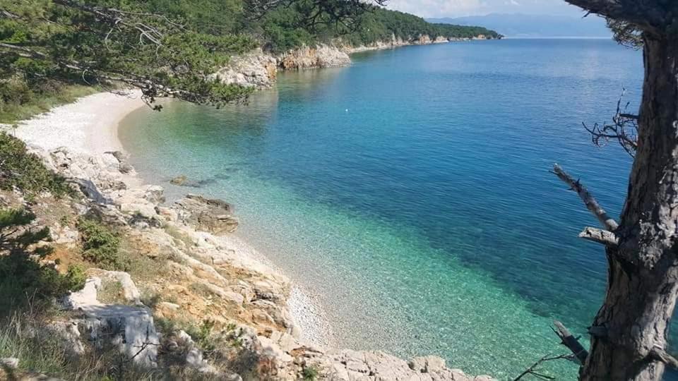 Apartments Adriatic سيلتسي المظهر الخارجي الصورة