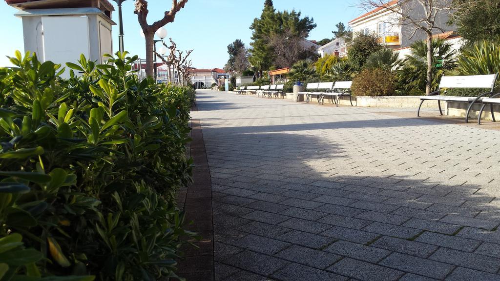 Apartments Adriatic سيلتسي المظهر الخارجي الصورة
