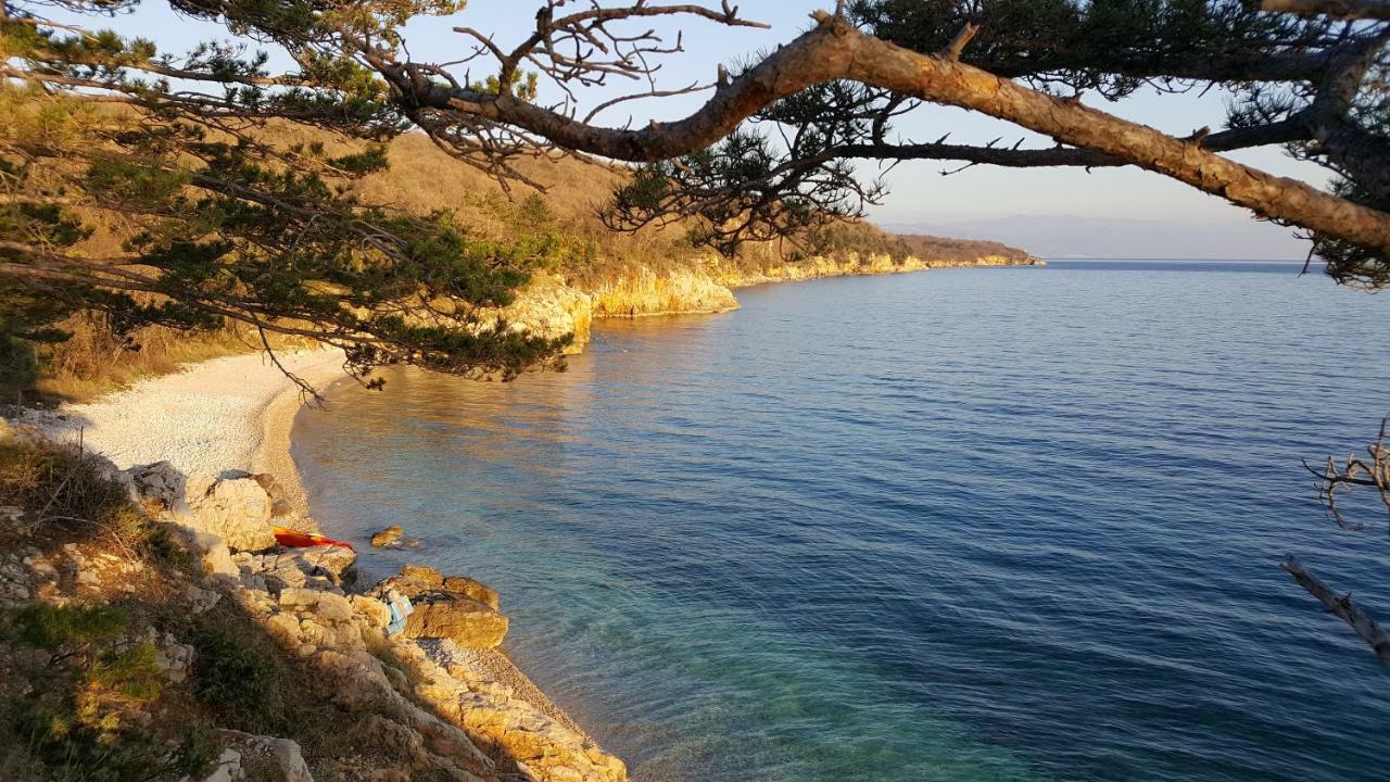 Apartments Adriatic سيلتسي المظهر الخارجي الصورة